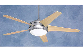Contemporary Fans