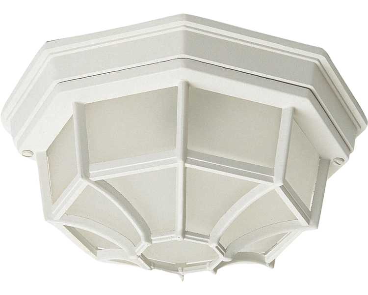 1020 2 LIGHT FLUSH