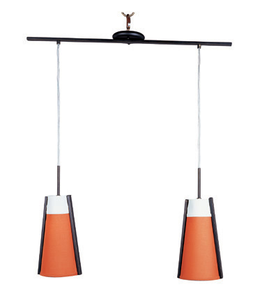 DOUG WILSON 2 LIGHT PENDANT